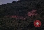 Standbild ARVN-Truppen escort Vietcong Gefangenen unter Bewachung einem vietnamesischen von Tuy Hoà Süd Vietnam, 1962, aus Sekunde 17 historischem Filmmaterial Videoclip 65675039920