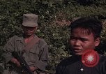 Image of ARVN officer and U.S. Adviser question Vietcong prisoner in Tuy Hoa, S Tuy Hoa South Vietnam, 1962, second 56 stock footage video 65675039921