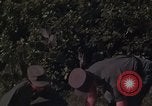 Image of ARVN officer and U.S. Adviser question Vietcong prisoner in Tuy Hoa, S Tuy Hoa South Vietnam, 1962, second 61 stock footage video 65675039921
