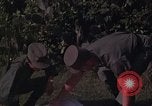 Image of ARVN officer and U.S. Adviser question Vietcong prisoner in Tuy Hoa, S Tuy Hoa South Vietnam, 1962, second 62 stock footage video 65675039921