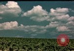 Standbild Zigarettenfabrik Virginia United States USA, 1949, aus Sekunde 58 historischem Filmmaterial Videoclip 65675039928