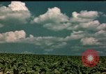Standbild Zigarettenfabrik Virginia United States USA, 1949, aus Sekunde 59 historischem Filmmaterial Videoclip 65675039928