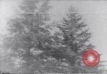 Image of Joe Simonton Wisconsin United States USA, 1965, second 1 stock footage video 65675039958