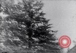 Image of Joe Simonton Wisconsin United States USA, 1965, second 3 stock footage video 65675039958