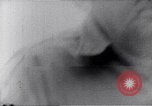 Image of Joe Simonton Wisconsin United States USA, 1965, second 18 stock footage video 65675039958