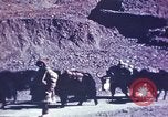 Image of Captain Brooke Dolan Lhasa Tibet, 1943, second 3 stock footage video 65675039988