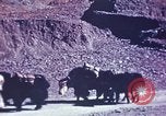 Image of Captain Brooke Dolan Lhasa Tibet, 1943, second 4 stock footage video 65675039988