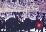 Image of Captain Brooke Dolan Lhasa Tibet, 1943, second 6 stock footage video 65675039988