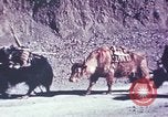 Image of Captain Brooke Dolan Lhasa Tibet, 1943, second 10 stock footage video 65675039988