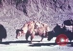 Image of Captain Brooke Dolan Lhasa Tibet, 1943, second 11 stock footage video 65675039988
