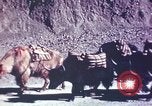Image of Captain Brooke Dolan Lhasa Tibet, 1943, second 12 stock footage video 65675039988