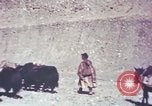 Image of Captain Brooke Dolan Lhasa Tibet, 1943, second 16 stock footage video 65675039988