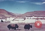 Image of Captain Brooke Dolan Lhasa Tibet, 1943, second 18 stock footage video 65675039988