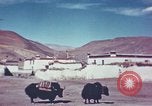 Image of Captain Brooke Dolan Lhasa Tibet, 1943, second 20 stock footage video 65675039988