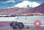 Image of Captain Brooke Dolan Lhasa Tibet, 1943, second 21 stock footage video 65675039988