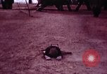 Image jeune Dalaï Lama Lhassa (Tibet), 1943, de la seconde 20 séquences d'archives historiques vidéo 65675039994