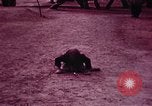 Image jeune Dalaï Lama Lhassa (Tibet), 1943, de la seconde 21 séquences d'archives historiques vidéo 65675039994