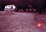 Image jeune Dalaï Lama Lhassa (Tibet), 1943, de la seconde 25 séquences d'archives historiques vidéo 65675039994