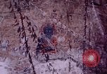 Image jeune Dalaï Lama Lhassa (Tibet), 1943, de la seconde 50 séquences d'archives historiques vidéo 65675039994