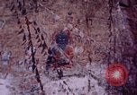 Image jeune Dalaï Lama Lhassa (Tibet), 1943, de la seconde 53 séquences d'archives historiques vidéo 65675039994