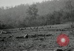 Standbild General John Joseph Pershing Frankreich, 1917, aus Sekunde 11 historischem Filmmaterial Videoclip 65675040025