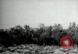 Standbild Film United States USA, 1927, aus Sekunde 23 historischem Filmmaterial Videoclip 65675040032