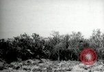 Standbild Film United States USA, 1927, aus Sekunde 24 historischem Filmmaterial Videoclip 65675040032