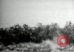 Standbild Film United States USA, 1927, aus Sekunde 26 historischem Filmmaterial Videoclip 65675040032