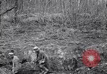 Image Français 320mm pistolet ferroviaire Western Front théâtre européen, 1918, de la seconde 48 séquences d'archives historiques vidéo 65675040041