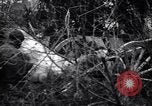 Image of French troops charge from trench World War 1 Western Front European Theater, 1918, second 20 stock footage video 65675040043