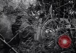 Image of French troops charge from trench World War 1 Western Front European Theater, 1918, second 22 stock footage video 65675040043