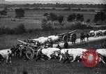 Image of American and French troops transport artillery France, 1918, second 56 stock footage video 65675040047