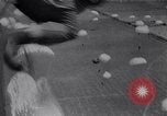 Image of General Eisenhower Sicily Italy, 1943, second 20 stock footage video 65675040071