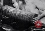 Image of U.S. Pacific campaign in World War 2 Pacific Theater, 1943, second 48 stock footage video 65675040074
