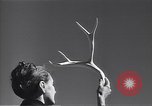 Immagine di Vivere e lavorare in nativo americana Adobe village New Mexico USA, 1948, secondo 43 filmato di repertorio 65675040095
