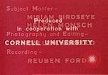 Standbild Heben gesunde Kinder United States USA, 1941, aus Sekunde 7 historischem Filmmaterial Videoclip 65675040100