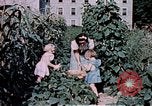 Image of food and nutrition circa 1940 United States USA, 1940, second 4 stock footage video 65675040101