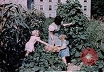 Image of food and nutrition circa 1940 United States USA, 1940, second 5 stock footage video 65675040101