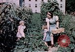 Image of food and nutrition circa 1940 United States USA, 1940, second 7 stock footage video 65675040101