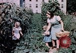 Image of food and nutrition circa 1940 United States USA, 1940, second 8 stock footage video 65675040101