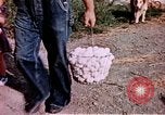 Image of food and nutrition circa 1940 United States USA, 1940, second 16 stock footage video 65675040101