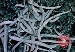 Image of food and nutrition circa 1940 United States USA, 1940, second 46 stock footage video 65675040101