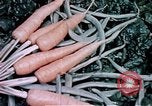 Image of food and nutrition circa 1940 United States USA, 1940, second 48 stock footage video 65675040101