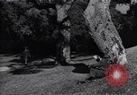Image of Foreign students at University of California Berkeley Berkeley California USA, 1948, second 56 stock footage video 65675040105
