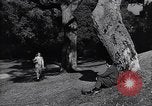 Image of Foreign students at University of California Berkeley Berkeley California USA, 1948, second 62 stock footage video 65675040105