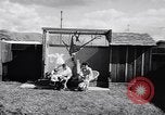 Image of Ludwig family California United States USA, 1951, second 17 stock footage video 65675040119