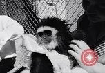 Image of Ludwig family California United States USA, 1951, second 21 stock footage video 65675040119