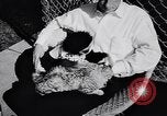 Image of Ludwig family California United States USA, 1951, second 25 stock footage video 65675040119