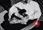 Image of Ludwig family California United States USA, 1951, second 28 stock footage video 65675040119