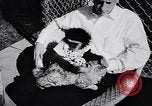 Image of Ludwig family California United States USA, 1951, second 29 stock footage video 65675040119